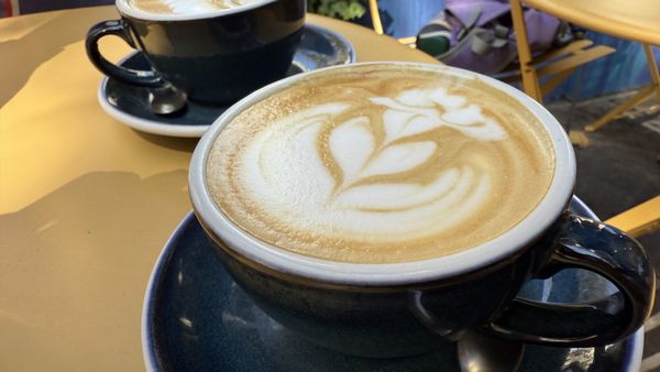 Terres de Café by null