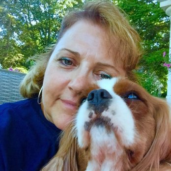 Castle Creek Cavaliers - Pet Breeders Near Me
