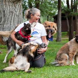 Jane Trains - Jane and her dogs.