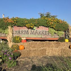 Blooms & Berries Farm Market & Garden Center
