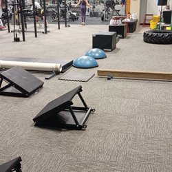 Survival Fitness