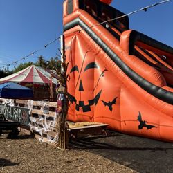 Mr. Jack O' Lanterns Pumpkins - Slide