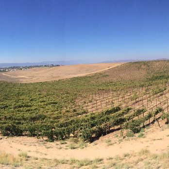 Grapeline Wine Tours - Callaway Winery was the best! #temecula - Wine Tours Near Me - Temecula, California Grapeline Wine Tours - Callaway Winery was the best! #temecula - Wine Tours Near Me - Temecula, California