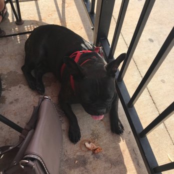 The Anchor - Puppies allowed - Gastropubs Near Me - Wichita, Kansas The Anchor - Puppies allowed - Gastropubs Near Me - Wichita, Kansas