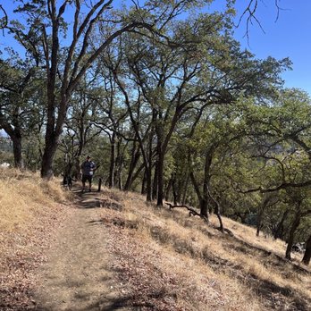 Mount Wanda - Nature trail - Hiking Near Me - Martinez, California
