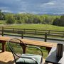 Knight's Gambit Vineyards