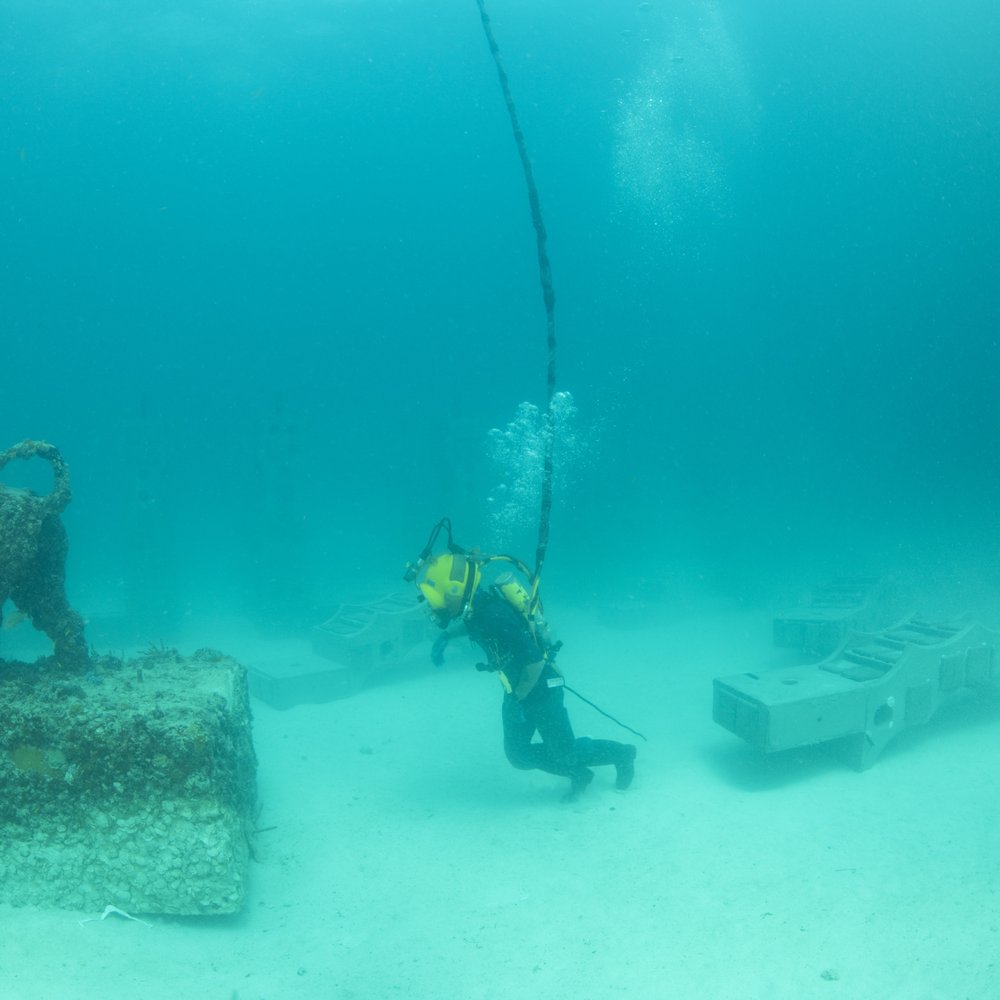 Neptune Memorial Reef - Hard had diver "Running" to help re-position the lions. - Funeral Services & Cemeteries Near Me - Miami, Florida