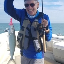 Florida Sportsman Magazine - As the front pushed in yesterday, Monday, Dec 1, I caught five species of fish from a boat a few hundred off of Jupiter Island...sennet, lad