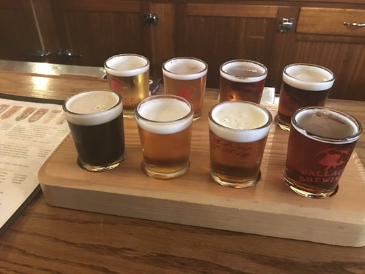 Wallace Brewing Company by null