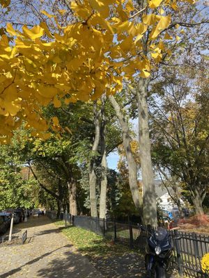 Inwood Hill Park by null