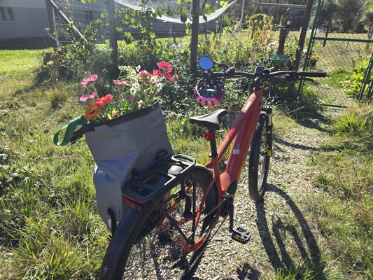 Tour Of Nevada City Bicycle Shop by null