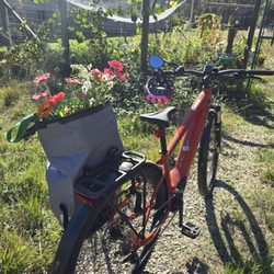 Tour Of Nevada City Bicycle Shop - My bike at the county garden