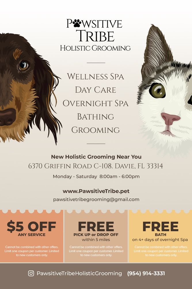 Pawsitive Tribe Holistic Grooming - pet boarding facility in Davie, FL