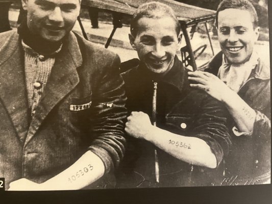 Mémorial De La Shoah by null