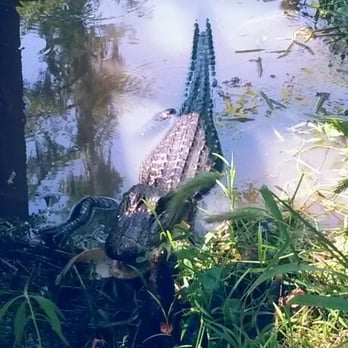 Barataria Preserve - Parks Near Me - Marrero, Louisiana