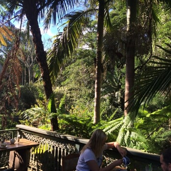 Elm Haus Cafe - View from deck - Restaurants Near Me - Mount Glorious, QLD