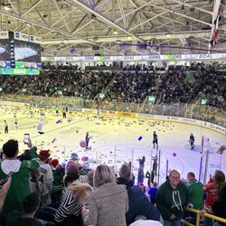 Florida Everblades - People throwing the stuffed animals onto the ice.