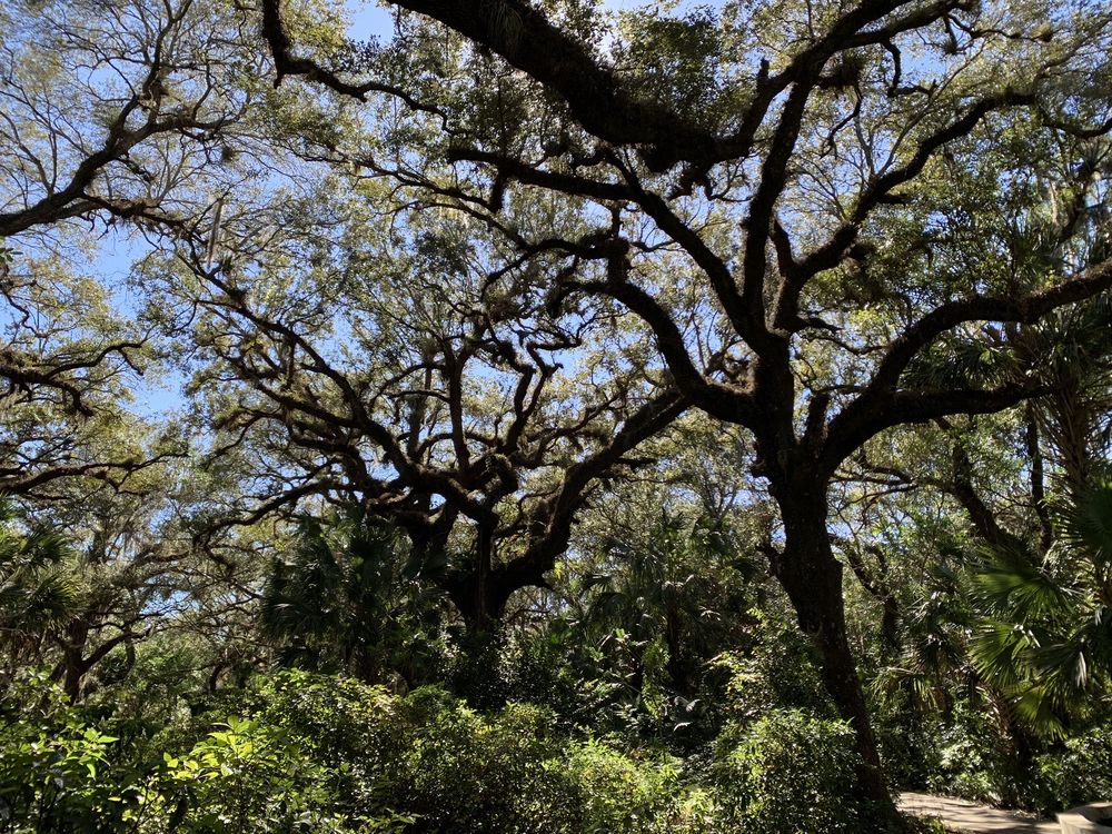 Long Key Natural Area & Nature Center Image