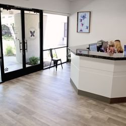 Metamorphosis Therapy Group
