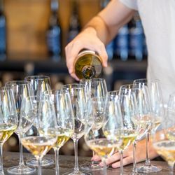 Indulge Boise Food Tours