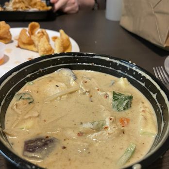 Singha Thai - Green Curry, extra sauce - Thai Near Me - Kettering, Ohio