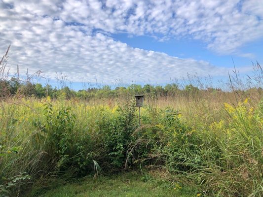 Gorman Nature Center by null