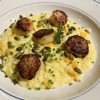 The Mariner - Scallops on squash risotto - Seafood Near Me - Mystic, Connecticut