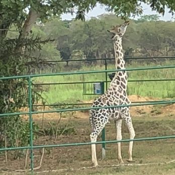 Yumká - Zoos Near Me - Villahermosa, TAB