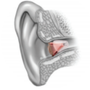 Photo of Edison Stanford Hearing Aid Center