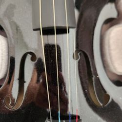 Shan Jiang Voilin Maker - My beautiful violin that needed servicing