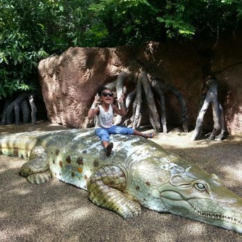 Zoo Miami - Zoo day! - Zoos Near Me - Miami, Florida Zoo Miami - Zoo day! - Zoos Near Me - Miami, Florida