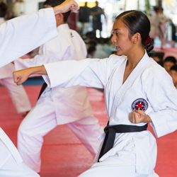 Japan International Karate Center - Aiea
