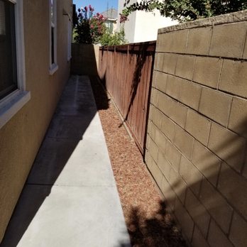 Arborscape - a narrow alley with a brick wall - Tree Services Near Me Arborscape - a narrow alley with a brick wall - Tree Services Near Me