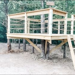 Custom tree house