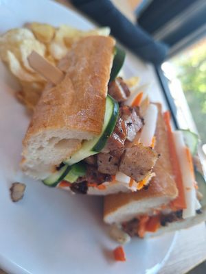 Feed and Folly by null