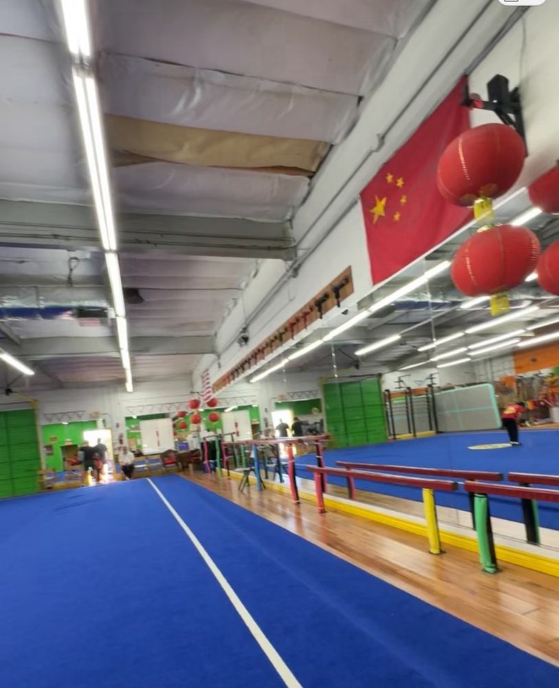 Wushu Unlimited Logo