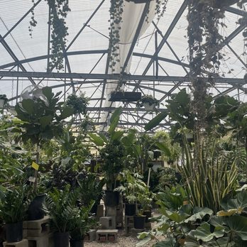 Plants & Planters - Nurseries & Gardening Near Me - Richardson, Texas Plants & Planters - Nurseries & Gardening Near Me - Richardson, Texas