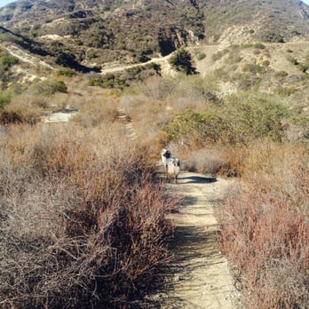 Stough Canyon Nature Center - At the peak, you are safe from bicyclists. - Hiking Near Me - Burbank, California Stough Canyon Nature Center - At the peak, you are safe from bicyclists. - Hiking Near Me - Burbank, California