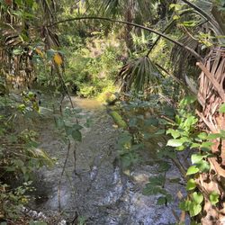The Myron and Helen Gibbons Nature Preserve