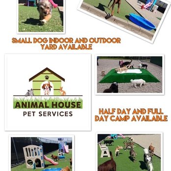 Animal House Pet Services - Outdoor area - Pet Training Near Me - Roseville, Michigan Animal House Pet Services - Outdoor area - Pet Training Near Me - Roseville, Michigan