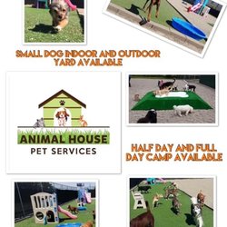 Animal House Pet Services - Outdoor area