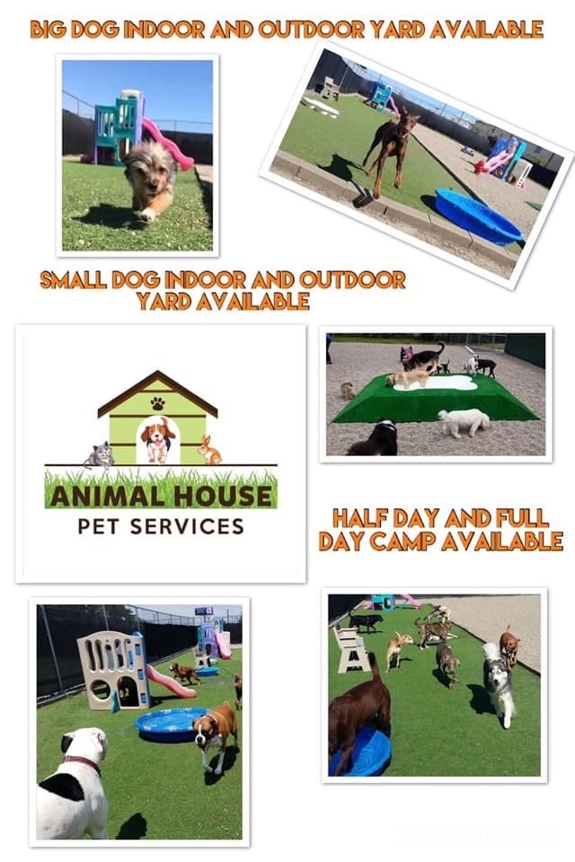 Animal House Pet Services - pet boarding facility in Roseville, MI
