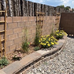 Desert Rose Landscape & Maintenance