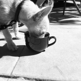 Chai Coffee Co - Coffee & Tea Near Me - Yucaipa, California