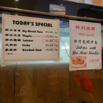 Bay Garden Cafe - 07.2025 specials menu - Chinese Near Me - Temple City, California