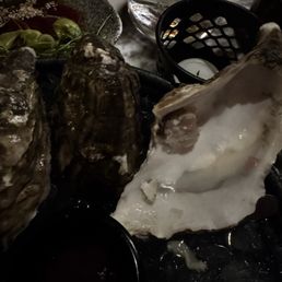 Broken oyster with the piece I had to spit out.