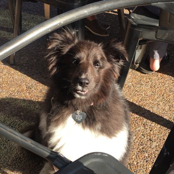 Lofty Coffee - JoJo loved the sausage! - Desserts Near Me - Encinitas, California