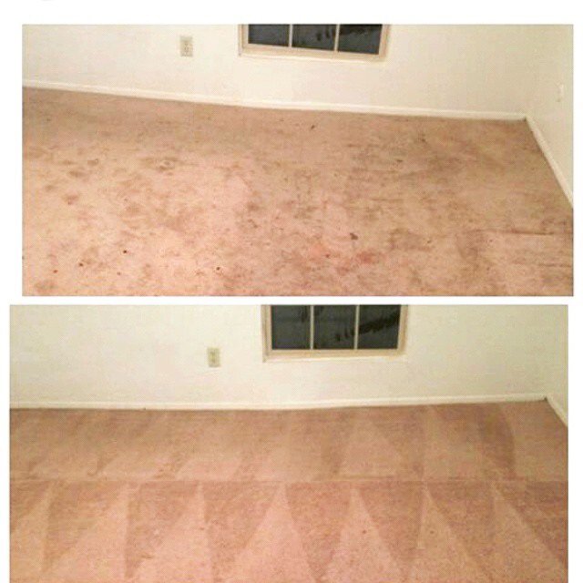 GRANT CARPET CLEANING Updated September 2024 12 Photos Hamtramck