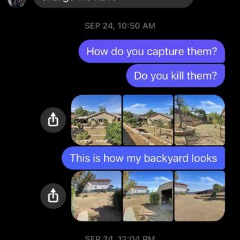 Rodent Experts llc - First he quoted me $300 for the whole property after seeing the pictures - Pest Control Near Me Rodent Experts llc - First he quoted me $300 for the whole property after seeing the pictures - Pest Control Near Me