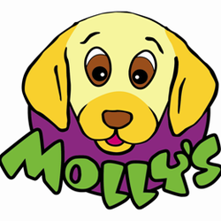 Molly's Play Centre